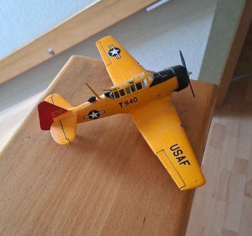 North american texan - american,