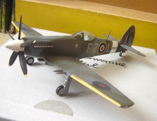 Top gebaute und lackierte - 1:48,